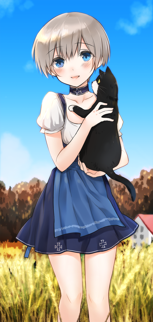 z1 leberecht maass and unsinkable sam (kantai collection) drawn by fukuroumori