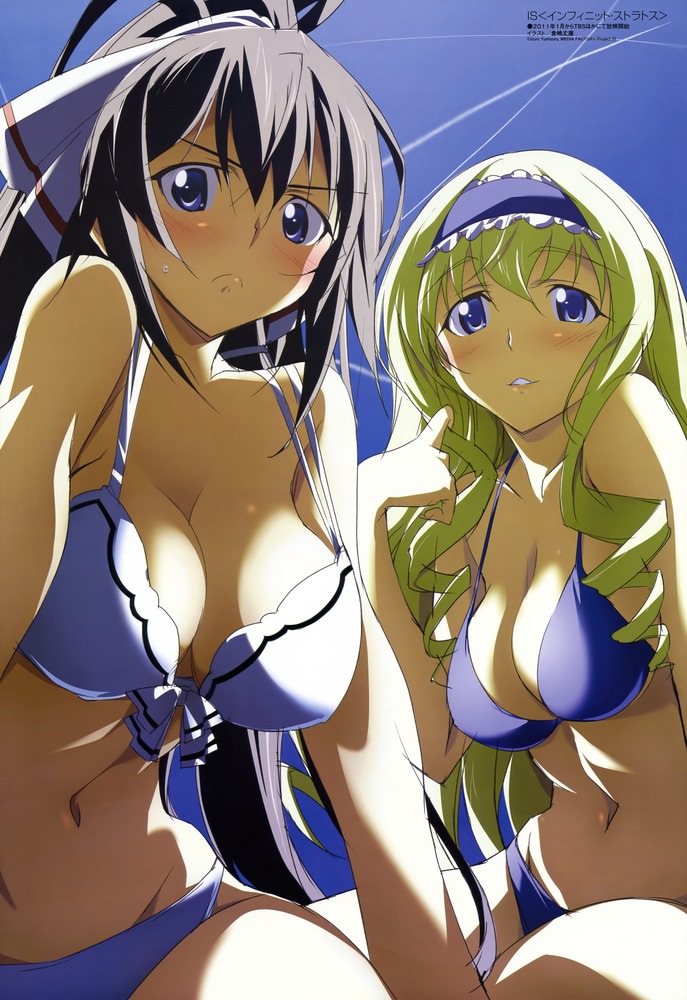cecilia alcott and shinonono houki (megami magazine and 1 more) drawn by kurashima_tomoyasu