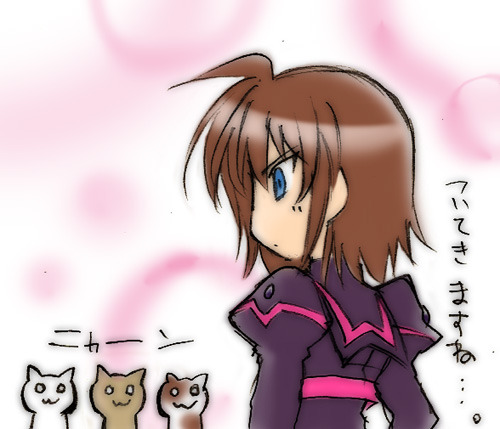 stern the destructor (lyrical nanoha and 3 more)