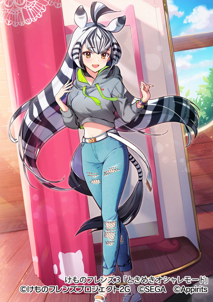 chapman's zebra (kemono friends and 1 more) drawn by hasumikaoru