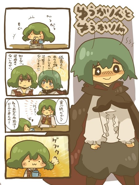 kazami yuuka and wriggle nightbug (touhou) drawn by wata_(rakopepa)