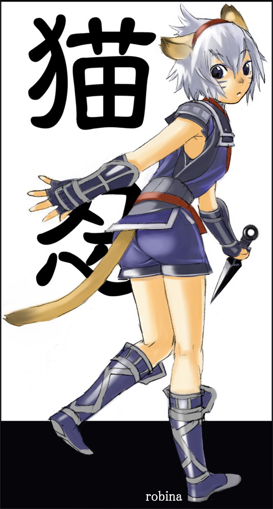 adventurer and ninja (final fantasy and 1 more) drawn by robina