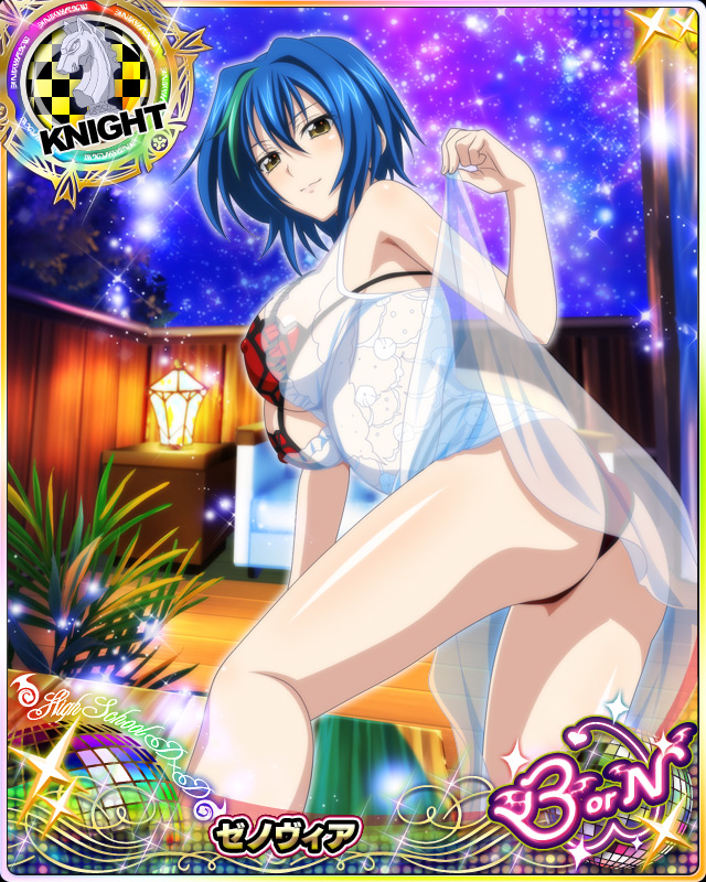 xenovia quarta (high school dxd and 1 more)