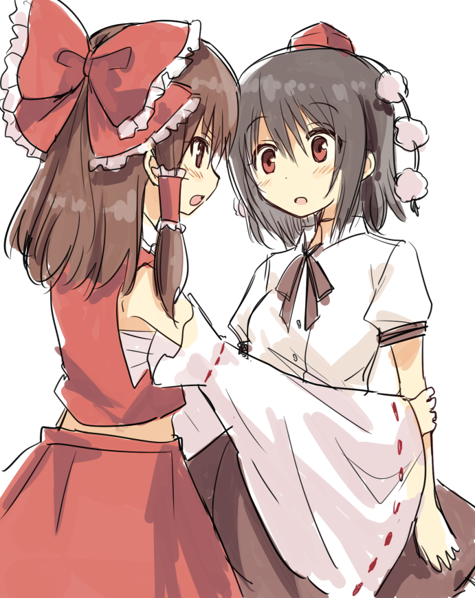 hakurei reimu and shameimaru aya (touhou) drawn by hatsukaze33