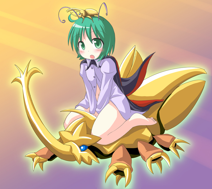 wriggle nightbug and kiniro (touhou and 1 more) drawn by des_(namaasi)