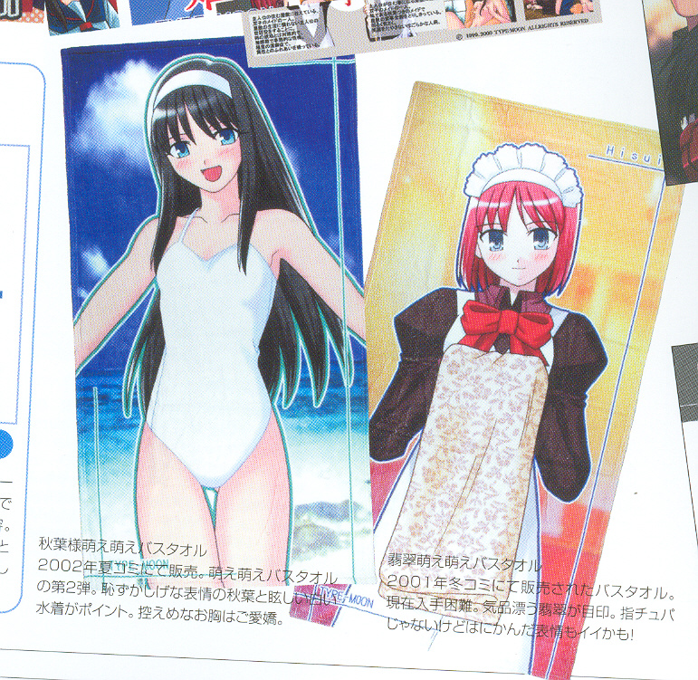 tohno akiha and hisui (tsukihime) drawn by takeuchi_takashi