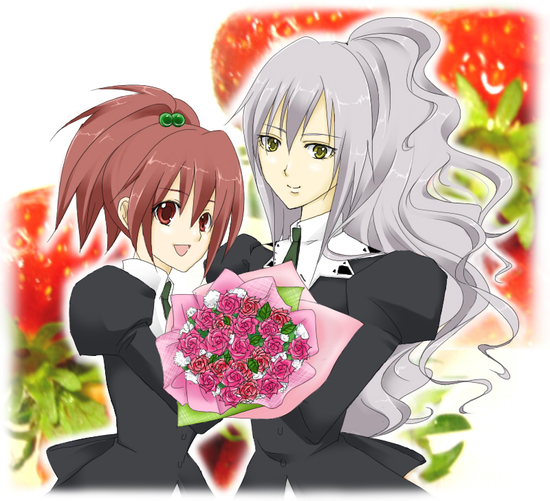 aoi nagisa and hanazono shizuma (strawberry panic!) drawn by chihiro_(danny52)