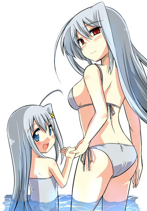 reinforce zwei and reinforce (lyrical nanoha and 3 more)