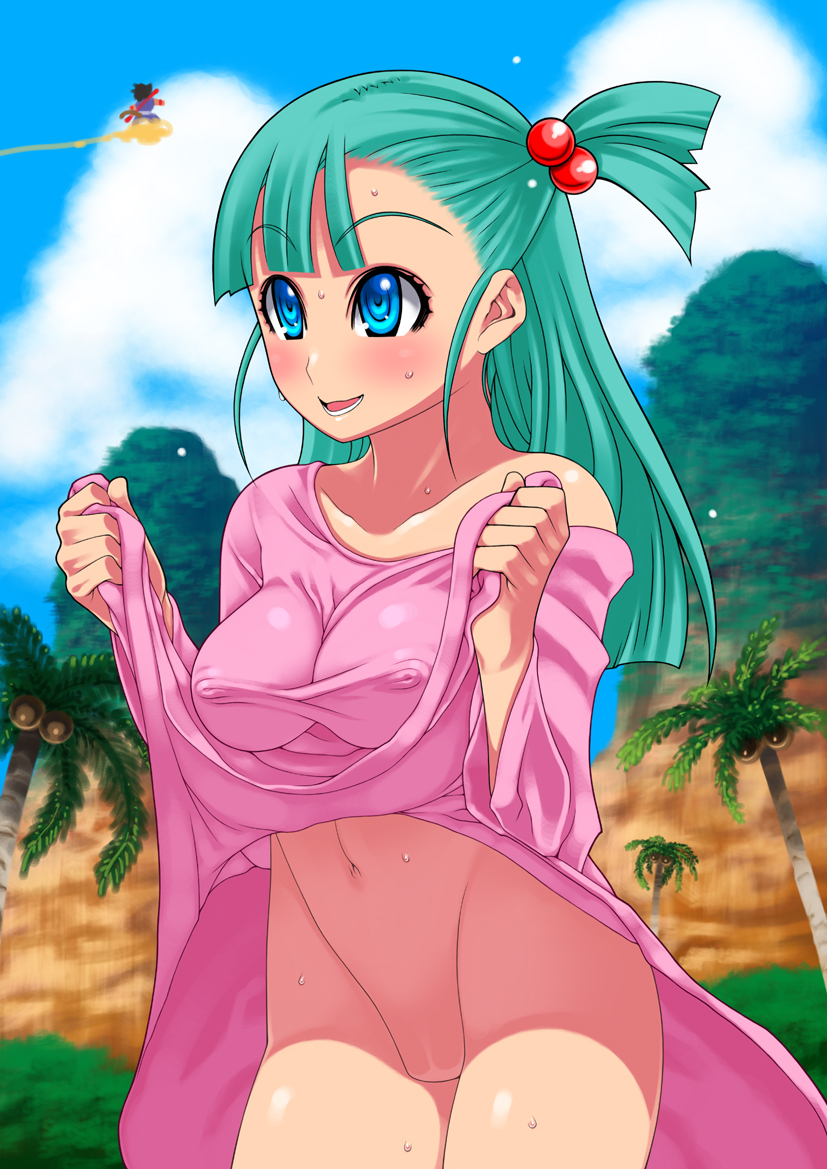son goku and bulma (dragon ball) drawn by hachi_menou