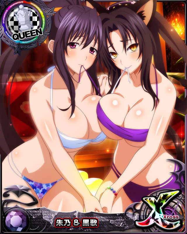 himejima akeno and kuroka (high school dxd and 1 more)