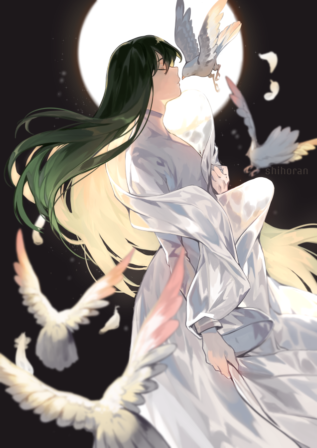 enkidu (fate and 1 more) drawn by shihoran