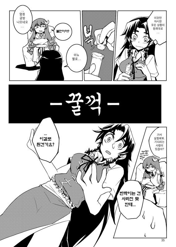 patchouli knowledge and hong meiling (touhou) drawn by tima