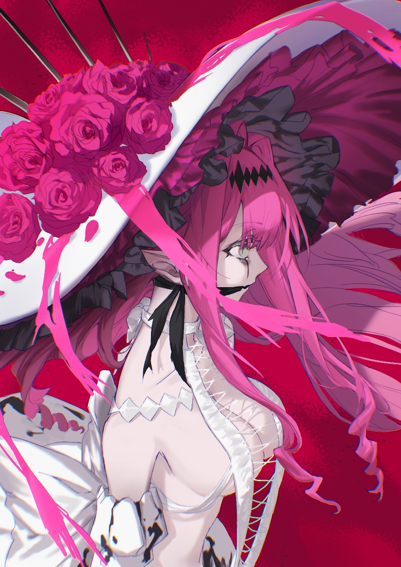 baobhan sith (fate and 1 more) drawn by yasinna