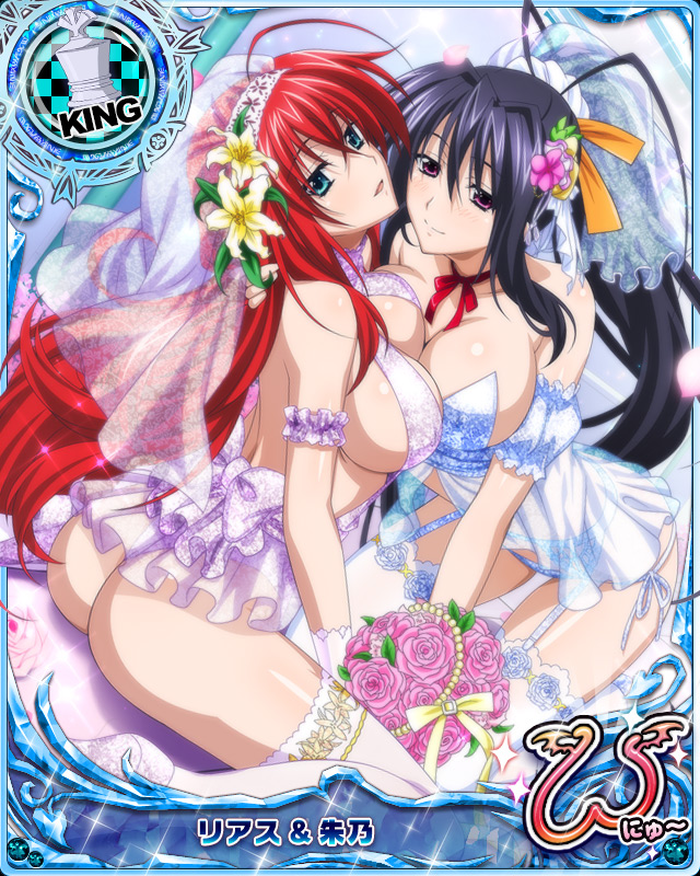 rias gremory and himejima akeno (high school dxd and 1 more)