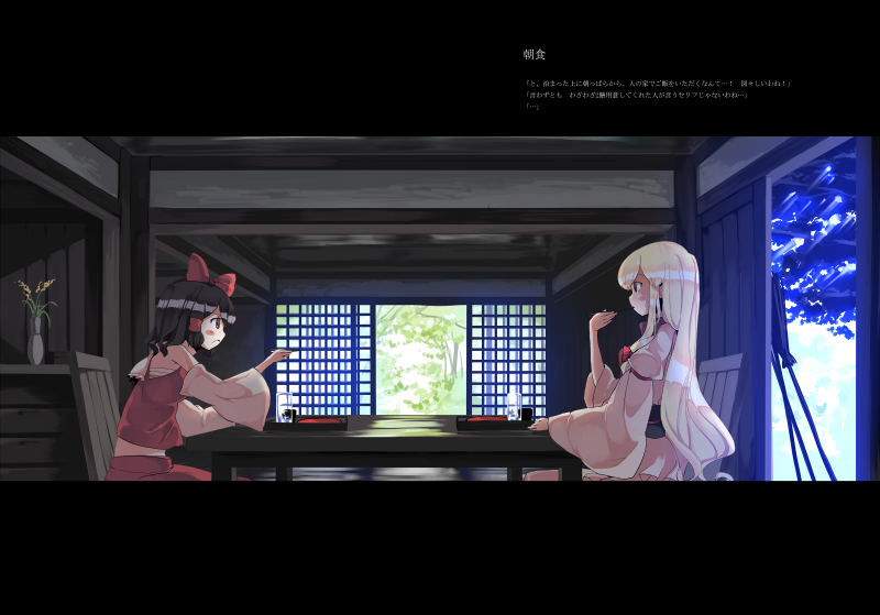 hakurei reimu and yakumo yukari (touhou) drawn by garnet