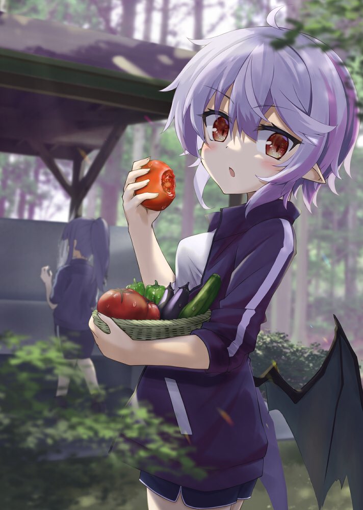 remilia scarlet and patchouli knowledge (touhou) drawn by akisome_hatsuka