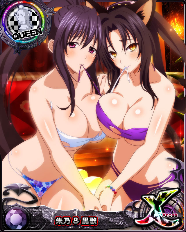 himejima akeno and kuroka (high school dxd and 1 more)