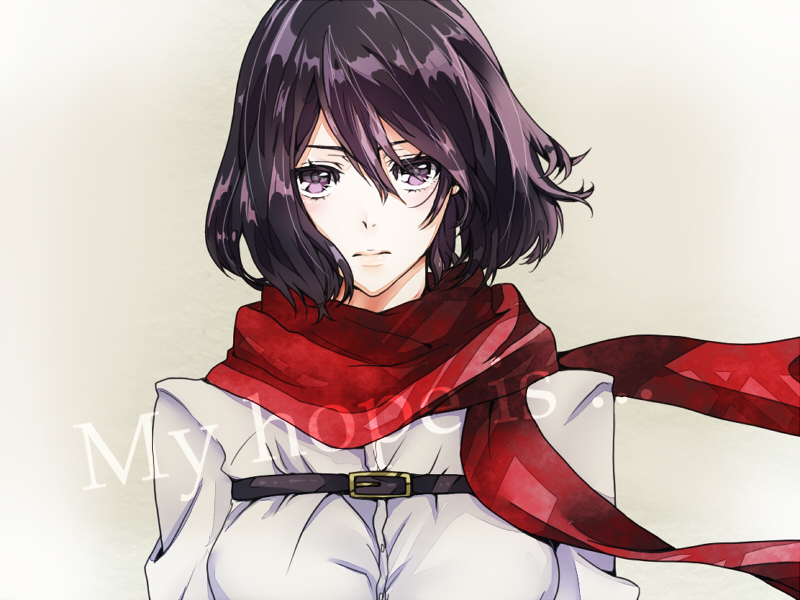 mikasa ackerman (shingeki no kyojin) drawn by chiriko_(sugar_vine)