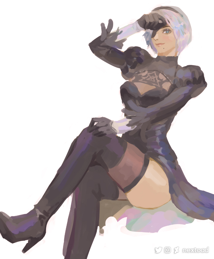 2b (nier and 1 more) drawn by nextoad