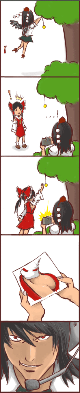 hakurei reimu and shameimaru aya (touhou and 1 more)