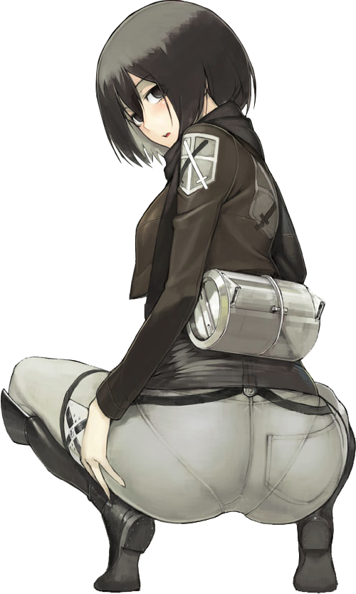 mikasa ackerman (shingeki no kyojin) drawn by namaniku_atk