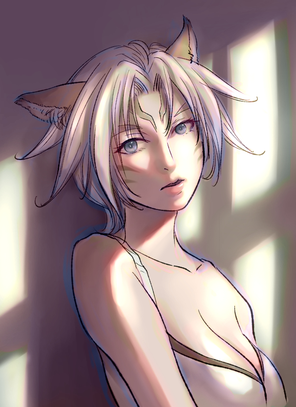 adventurer (final fantasy and 1 more) drawn by cactus41747280