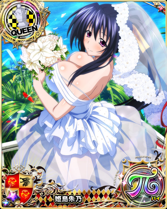 himejima akeno (high school dxd and 1 more)