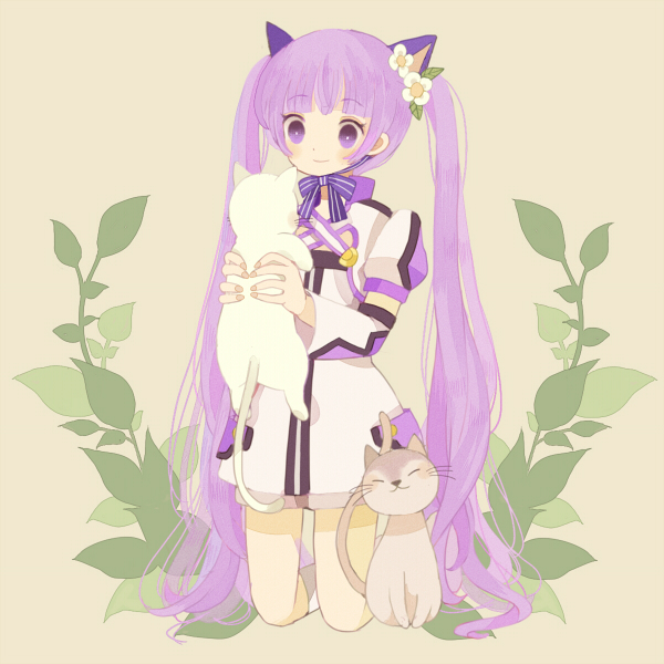 sophie (tales of and 1 more) drawn by periko_(biscottom)