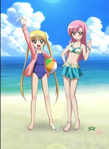 katsura hinagiku and sanzen'in nagi (hayate no gotoku!)