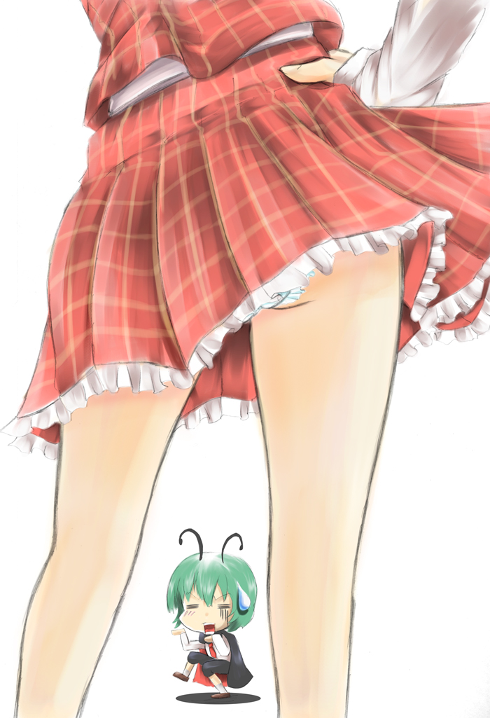 kazami yuuka and wriggle nightbug (touhou) drawn by r0g0b0