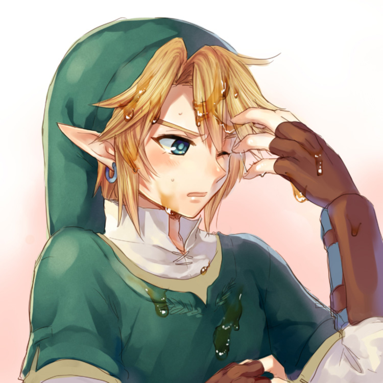 link (the legend of zelda and 1 more) drawn by 11kkr