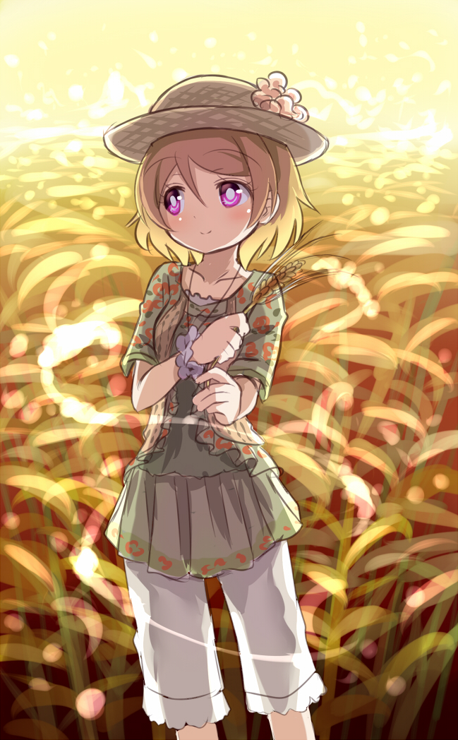 koizumi hanayo (love live! and 1 more) drawn by shipii_(jigglypuff)