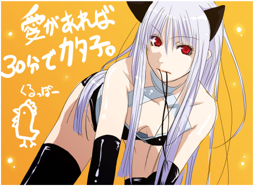 assassin and kataasa-ko (ragnarok online) drawn by mr.romance