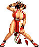 shiranui mai (the king of fighters and 2 more)