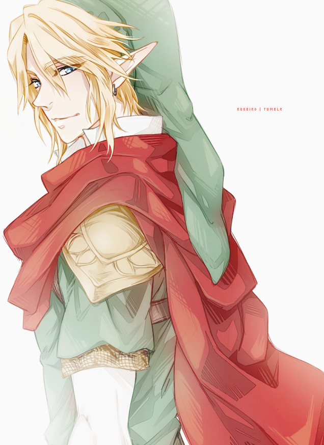 link (the legend of zelda and 1 more) drawn by ruebird