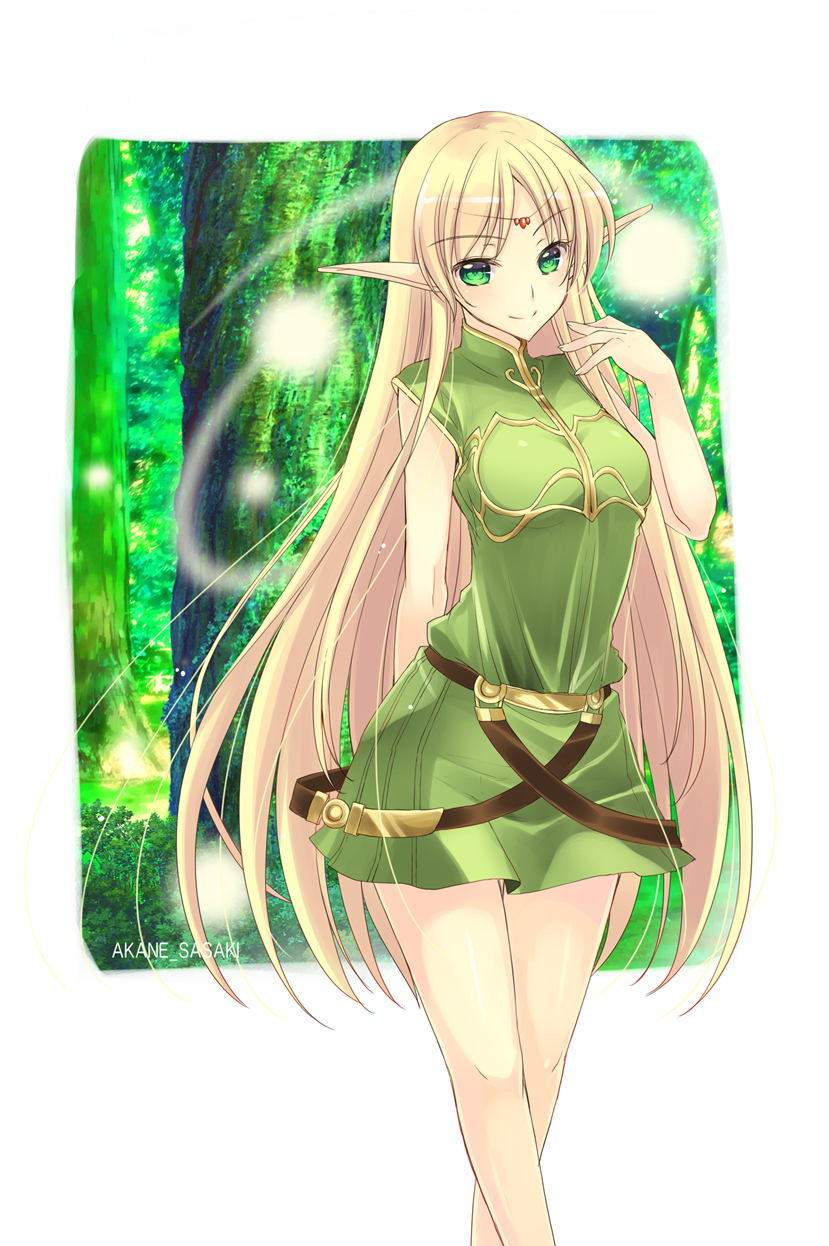 deedlit (record of lodoss war) drawn by sasaki_akane
