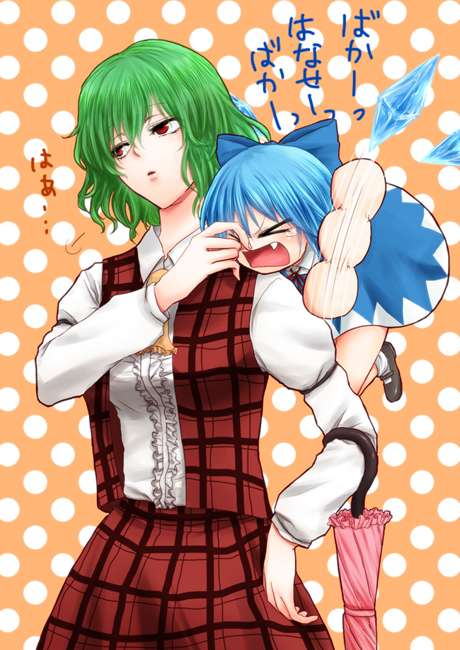 cirno and kazami yuuka (touhou) drawn by ichiko_(kkcyk)