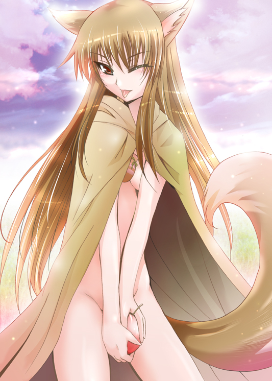 holo (spice and wolf) drawn by shiroi_noria