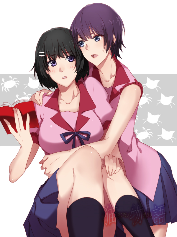 senjougahara hitagi and hanekawa tsubasa (monogatari) drawn by meron