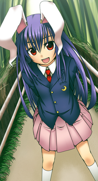 reisen udongein inaba (touhou) drawn by natsu_(die_mauer_der_leere)