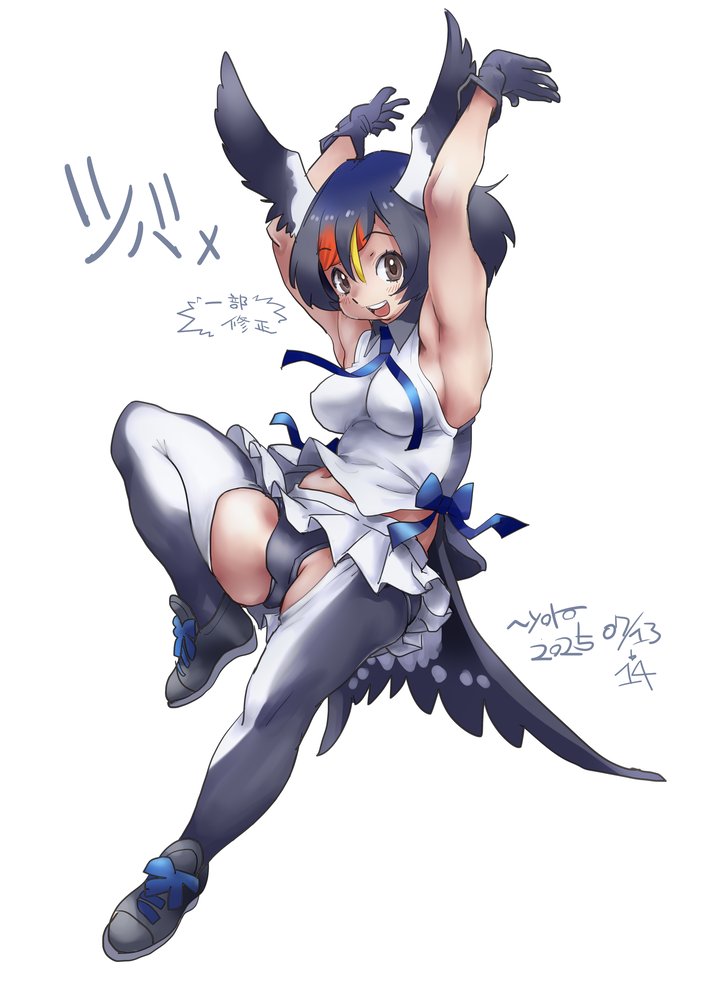 barn swallow (kemono friends and 1 more) drawn by nyororiso_(muyaa)