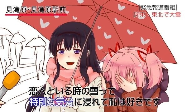 akemi homura and kaname madoka (mahou shoujo madoka magica)
