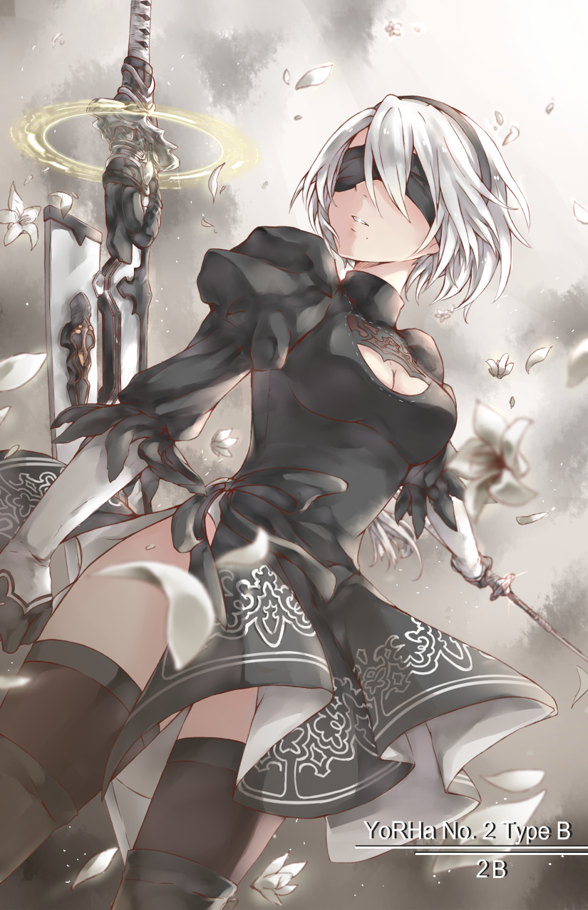 2b (nier and 1 more) drawn by limitless_skye