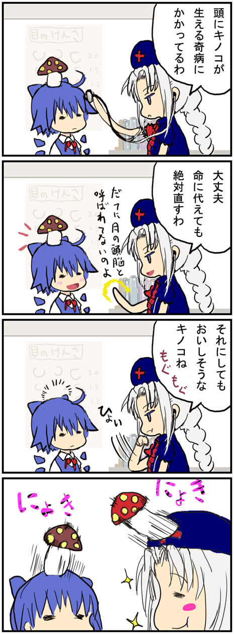cirno and yagokoro eirin (touhou) drawn by kedamono_kangoku-tou