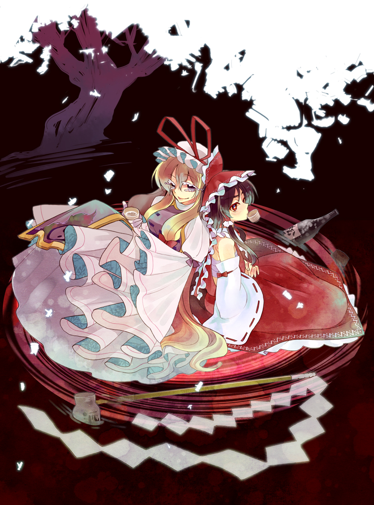 hakurei reimu and yakumo yukari (touhou) drawn by shino_satoru