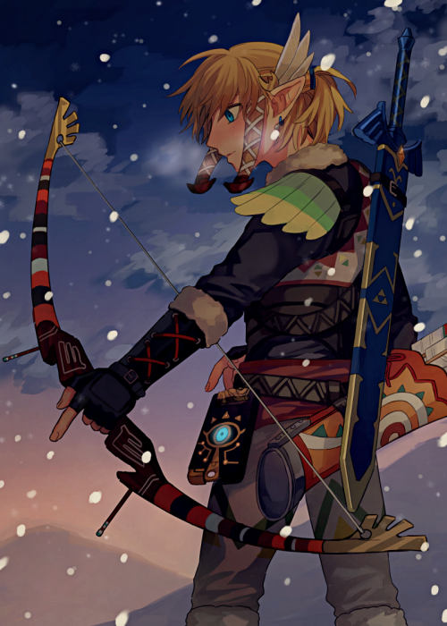 link (the legend of zelda and 1 more) drawn by shijima_(4jima)