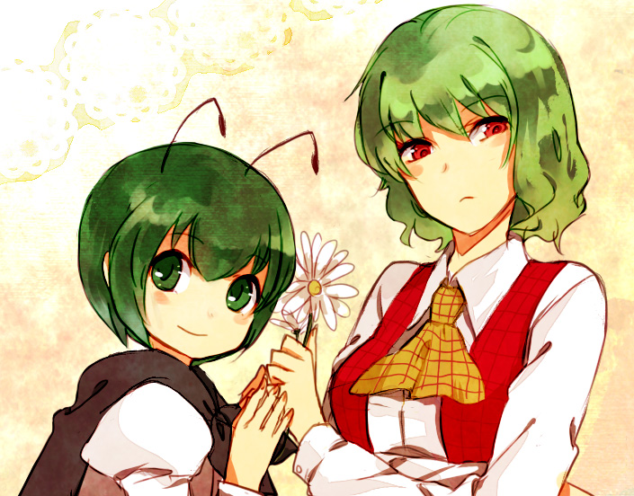 kazami yuuka and wriggle nightbug (touhou) drawn by nntn