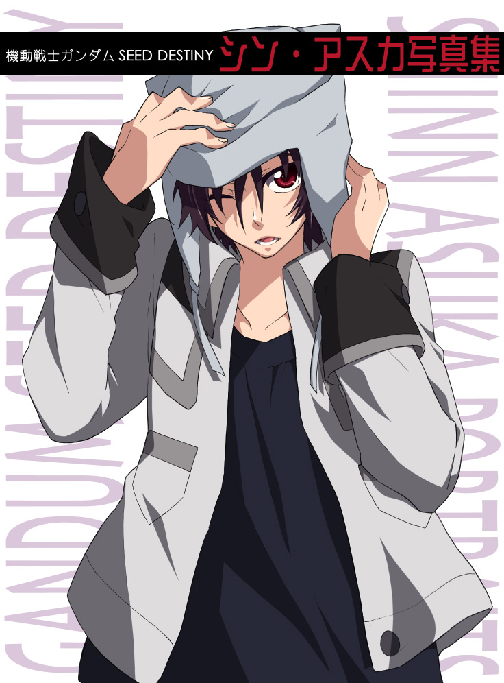 shinn asuka (gundam and 2 more) drawn by shinaso_(sachi-machi)