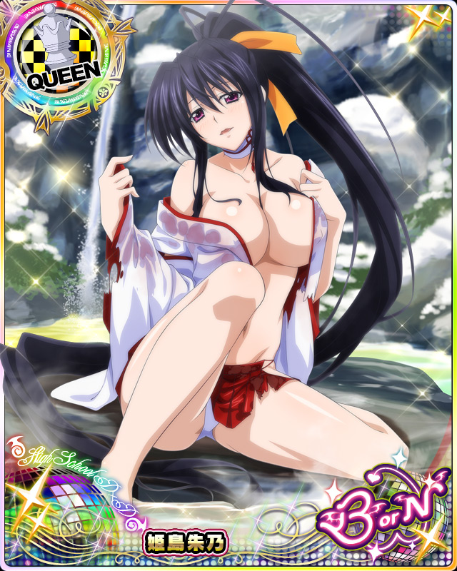 himejima akeno (high school dxd and 1 more)