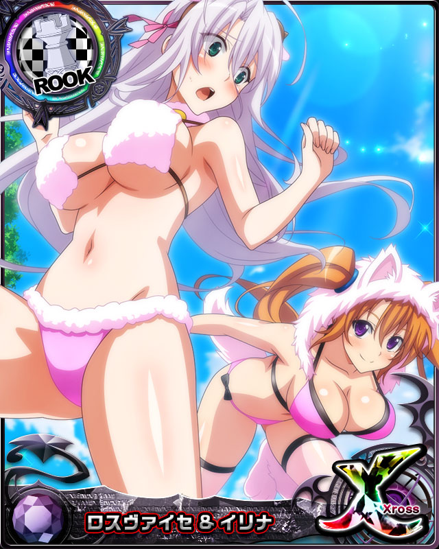 rossweisse and shidou irina (high school dxd and 2 more)